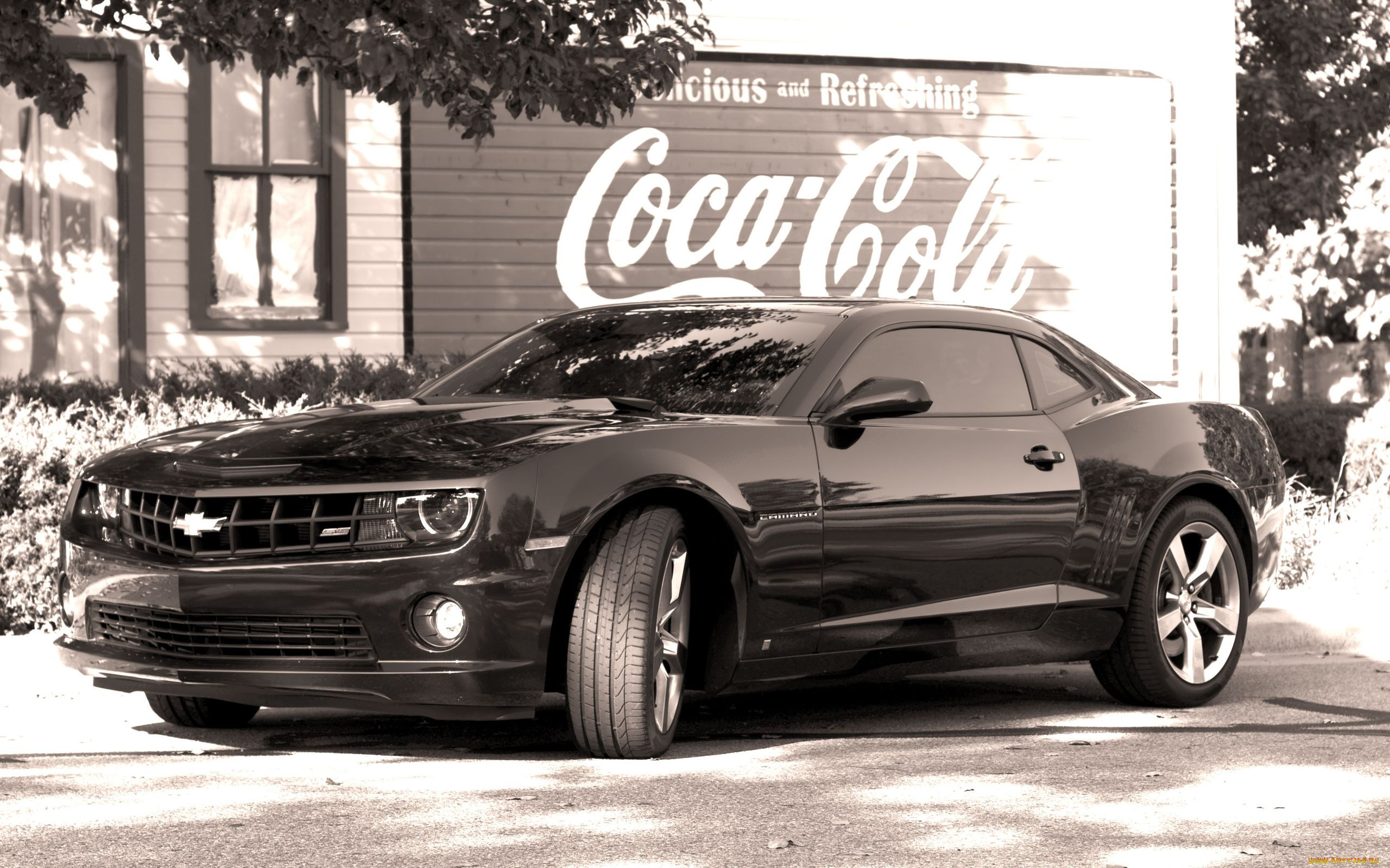 , camaro